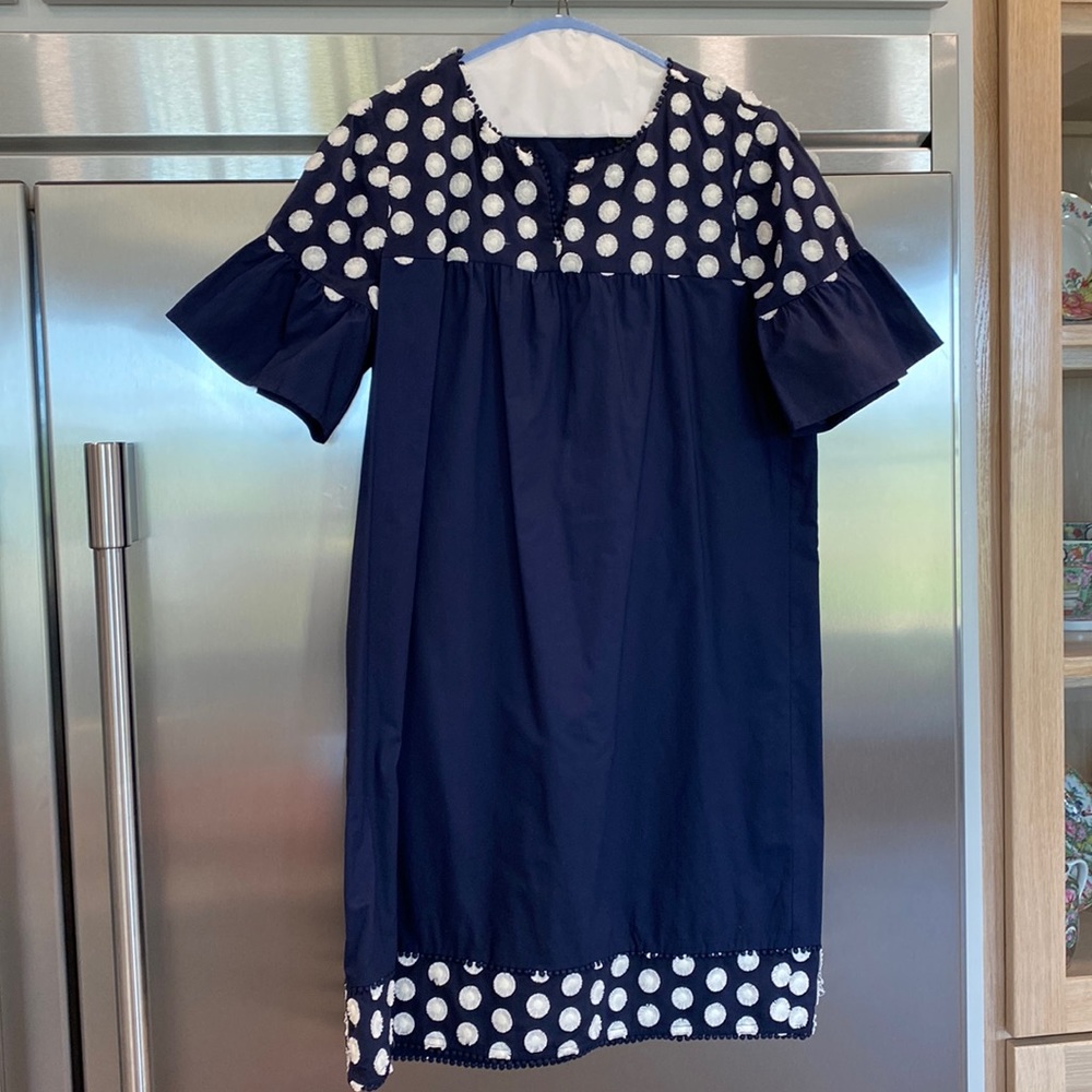 J. Crew Dress Ruffle Sleeve